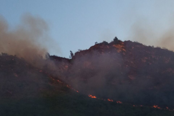 QQ圖片20170606113444.jpg QQ圖片20170606113444.jpg