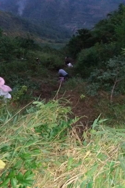 QQ圖片20170606113427.jpg QQ圖片20170606113427.jpg