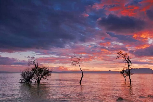 9 濃墨重彩山水艷，幾株樹影入畫來.jpg