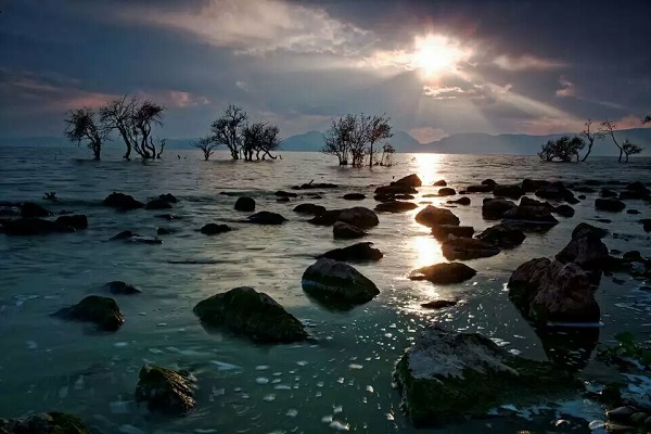 12 疏影橫斜水清淺，暗香浮動月黃昏.jpg