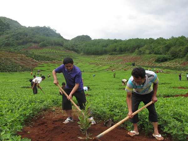 圖片10_副本.jpg 圖片10_副本.jpg