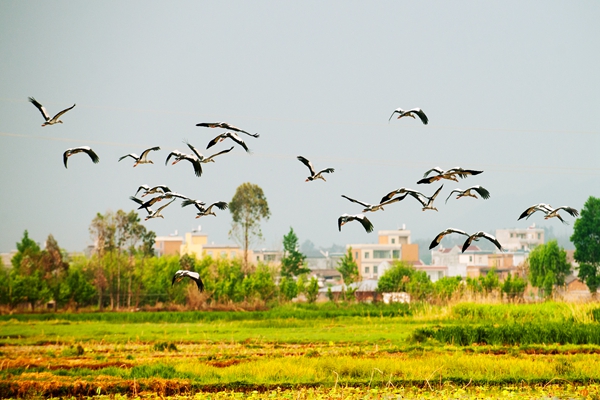 8_副本.jpg 8_副本.jpg