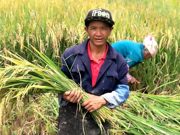 5_副本.jpg 5_副本.jpg