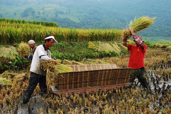 7_副本.jpg 7_副本.jpg