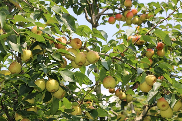 11_副本.jpg 11_副本.jpg