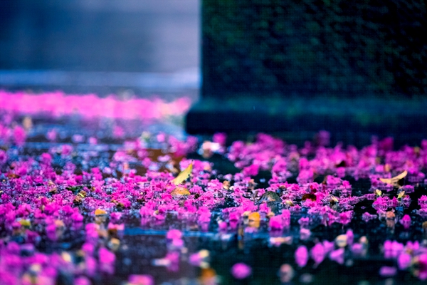 13_副本.jpg 13_副本.jpg