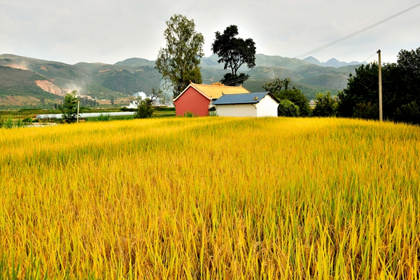 2_副本.jpg 2_副本.jpg