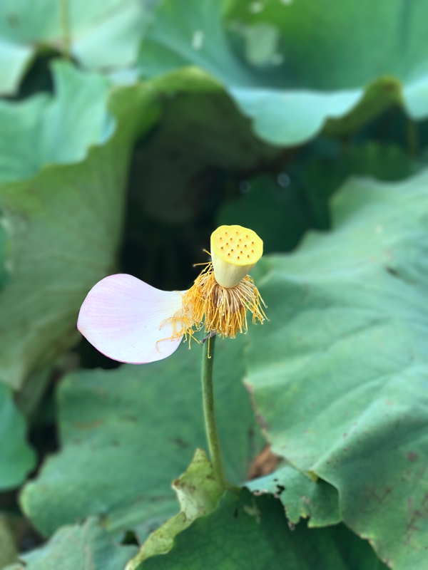 12_副本.jpg 12_副本.jpg