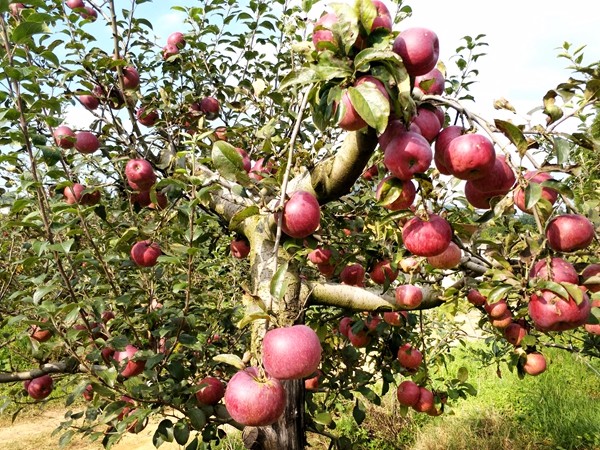 10_副本.jpg 10_副本.jpg