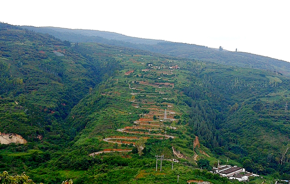 6_副本.png 6_副本.png