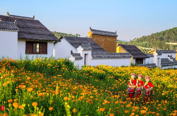 1_副本.png 1_副本.png