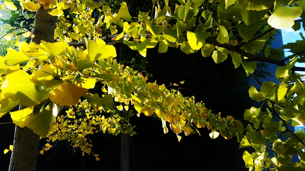 5_副本.jpg 5_副本.jpg