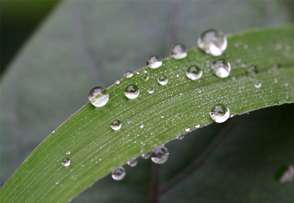 6_副本.jpg 6_副本.jpg