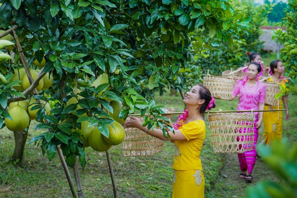 9_副本.jpg 9_副本.jpg