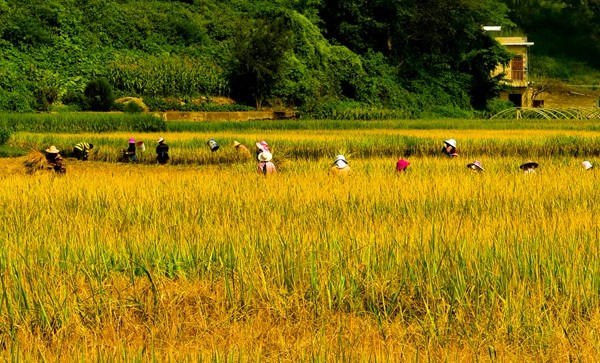 4_副本.jpg 4_副本.jpg