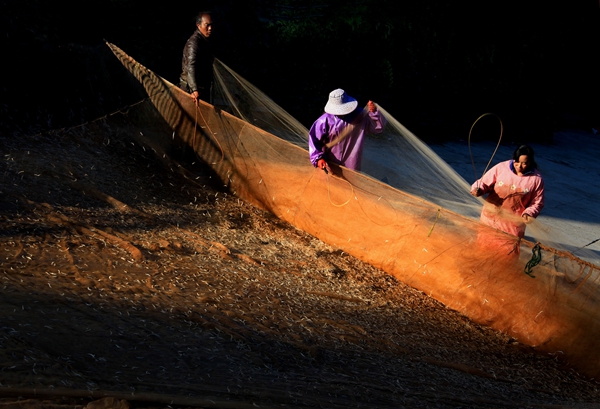 7_副本.jpg 7_副本.jpg