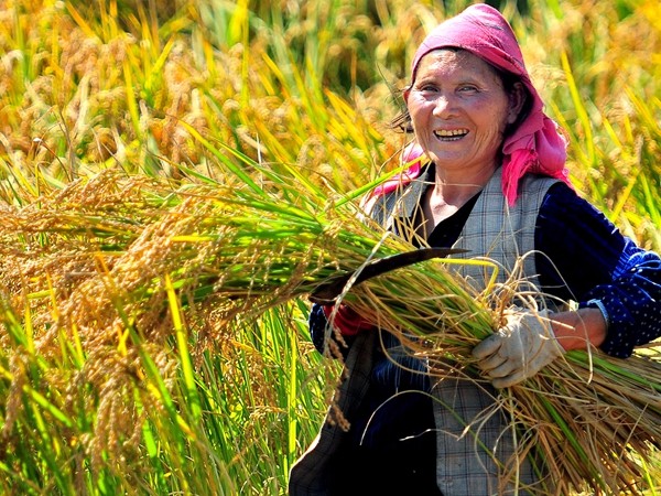 11_副本.jpg 11_副本.jpg