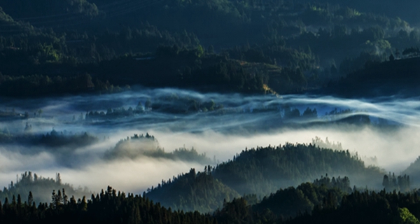 8_副本_副本.jpg 8_副本_副本.jpg