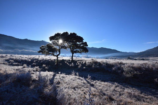 12_副本.jpg 12_副本.jpg