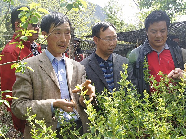 DSC06555_副本.jpg DSC06555_副本.jpg