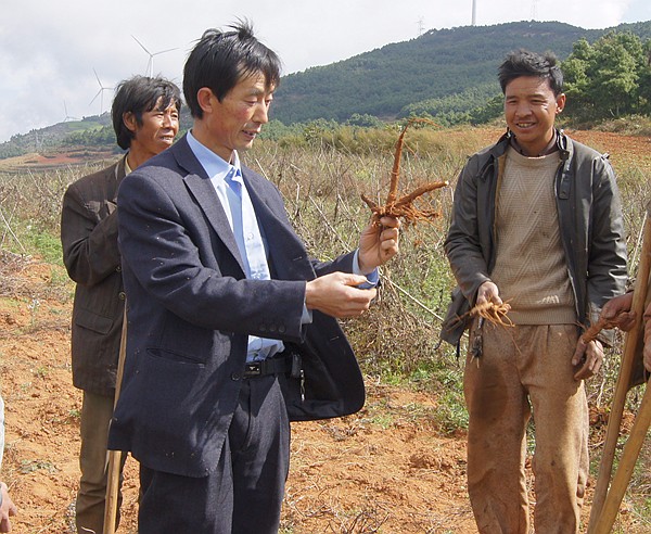 草烏栽培技術(shù)培訓(xùn)_副本.jpg 草烏栽培技術(shù)培訓(xùn)_副本.jpg