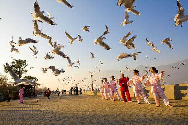 11_副本.jpg 11_副本.jpg