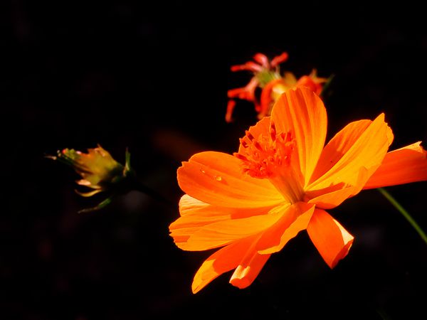 13_副本.jpg 13_副本.jpg