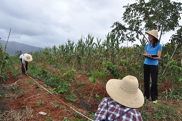 DSC_0381_副本.jpg DSC_0381_副本.jpg