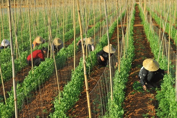 15_副本.jpg 15_副本.jpg