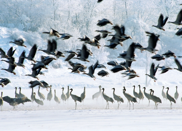 5_副本.jpg 5_副本.jpg