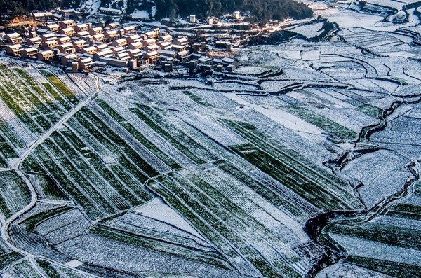 12_副本.jpg 12_副本.jpg