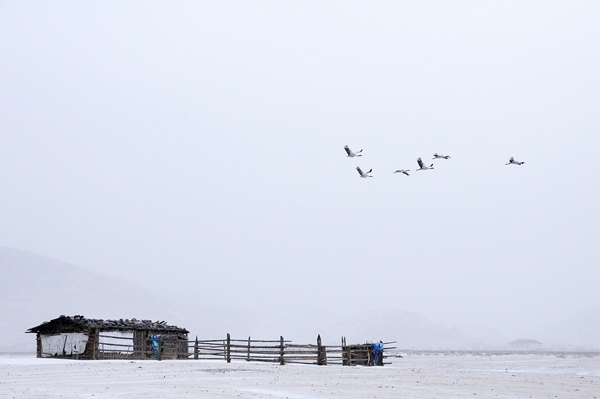 6_副本.jpg 6_副本.jpg