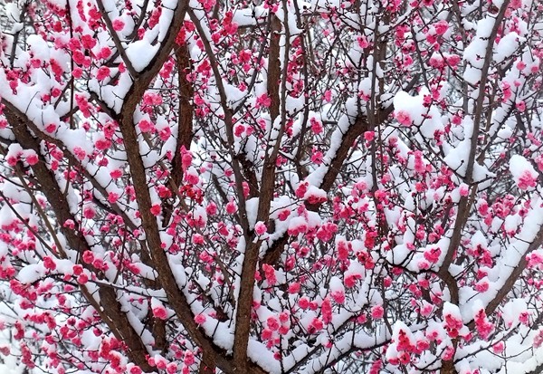 4_副本.jpg 4_副本.jpg