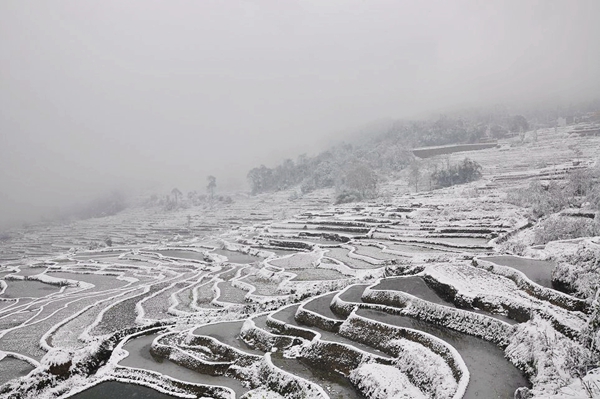 3_副本.jpg 3_副本.jpg