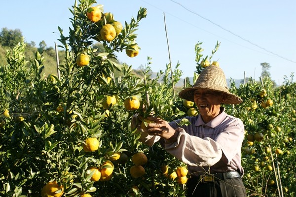 8_副本.jpg 8_副本.jpg