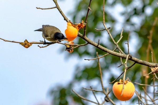 9_副本.jpg 9_副本.jpg