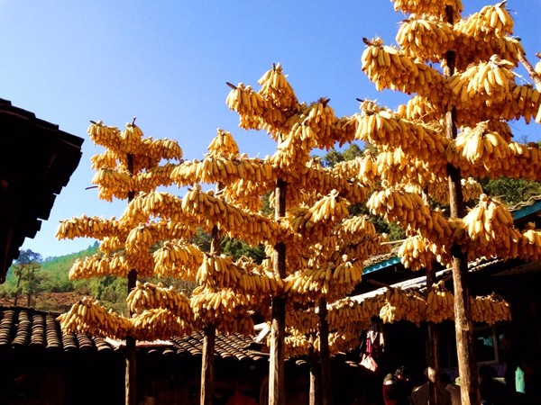 6_副本.jpg 6_副本.jpg