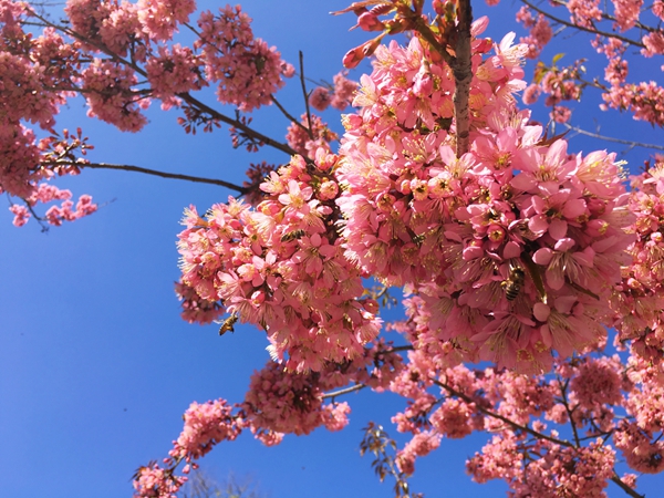 5_副本.jpg 5_副本.jpg