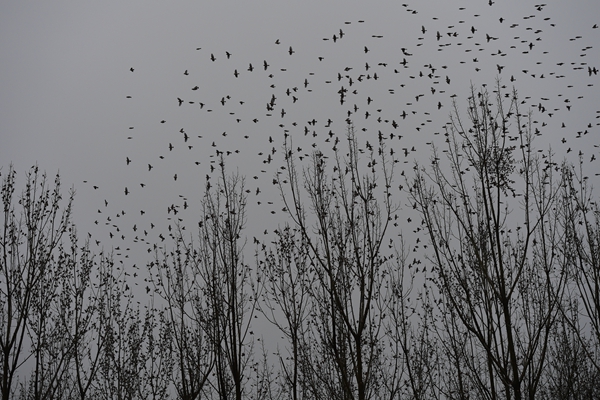 3_副本.jpg 3_副本.jpg