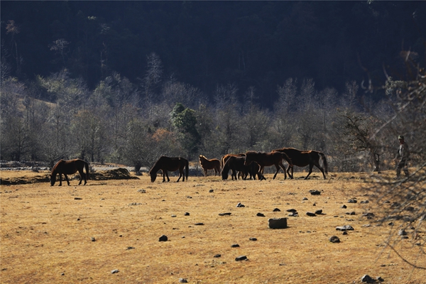 10_副本.jpg 10_副本.jpg