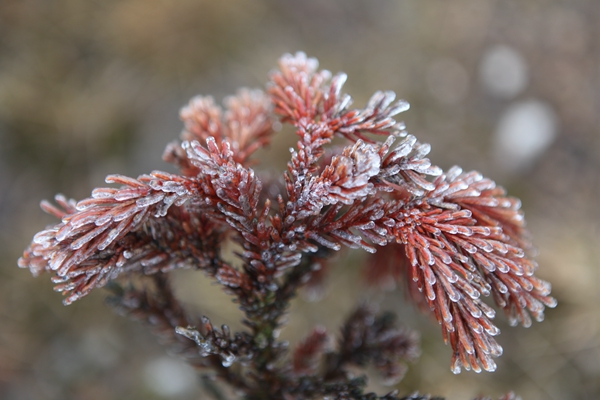 師宗徐超_副本.jpg 師宗徐超_副本.jpg