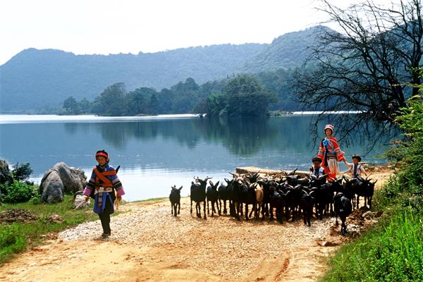 CNV000001 (3).jpg CNV000001 (3).jpg