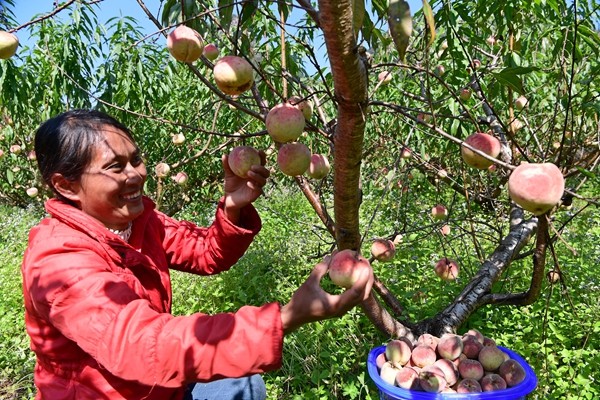 8_副本.jpg 8_副本.jpg