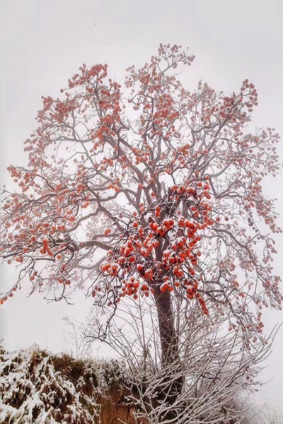 13_副本.jpg 13_副本.jpg