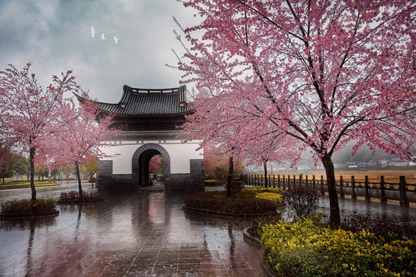 17_副本.jpg 17_副本.jpg