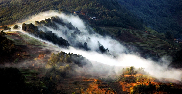 11_副本.jpg 11_副本.jpg