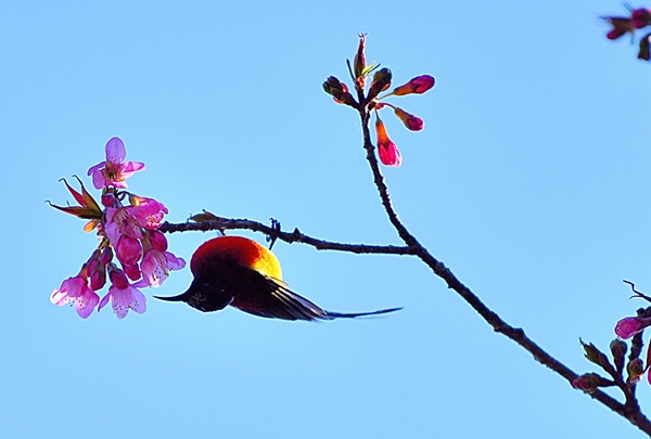 10_副本.jpg 10_副本.jpg