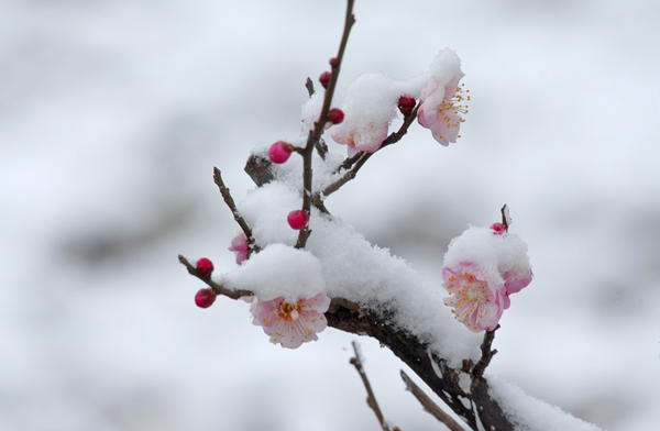 3_副本.jpg 3_副本.jpg