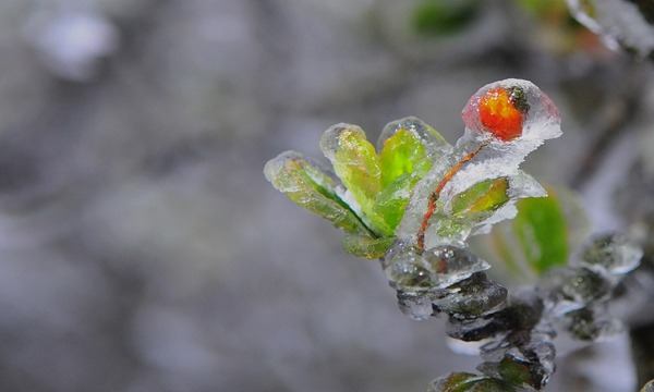 15_副本.jpg 15_副本.jpg