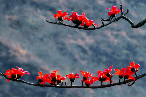 圖片9_副本.png 圖片9_副本.png